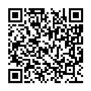 这才让剑尘手中的万古神蚕丝拥有充足的神性力量二维码生成