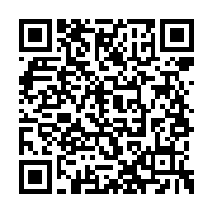 这才让杨霄杨雪在短短几年内度过几百年的光阴二维码生成