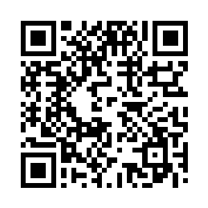 这才轰击在一颗一人合抱的大树上的树干上二维码生成