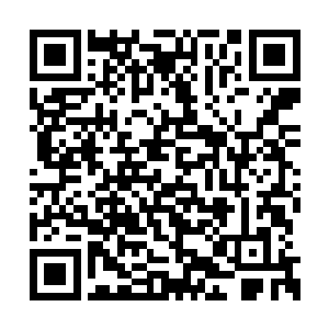 这才透过天眼看到一个巨大的拍卖场出现在眼前二维码生成