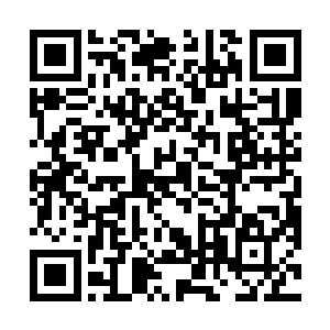 这批核心成员中每一人的实力都发生了天翻地覆的变化二维码生成