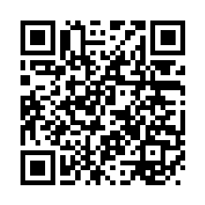 这批瓷器从发现到发掘的整个过程二维码生成