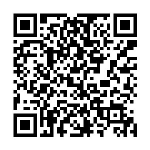 这把扇子正是影贼们献上请他息怒的四大名捕中无情的武器二维码生成