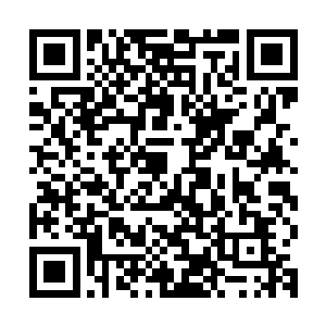 这把手枪通过枪管正下方一个类似于活塞形状的组件来进行操控二维码生成