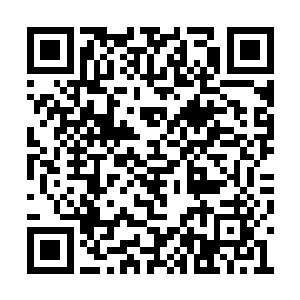 这护境之阵的宝物竟然是那四位始祖的本命武器二维码生成