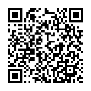这抱元之气乃是混沌之中最擅长转化各种混沌之气的力量二维码生成