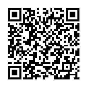 这拉达曼迪斯的防御竟然已经恐怖到了这等程度二维码生成