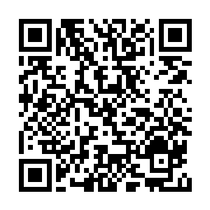 这拜月教是由三个界主巅峰修为的大妖联合所创二维码生成