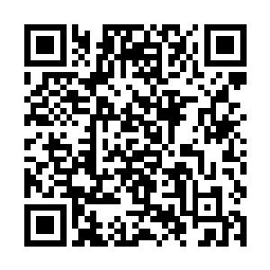 这拥有五位大人的山峰必然要得到更多的资源和利益二维码生成