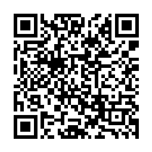 这捞比自从打上王者以后也不知道是自满了还是怎么二维码生成