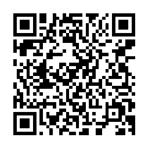 这排名就按照魔影门的招新比试排名和闯黄泉路的成绩来判定二维码生成