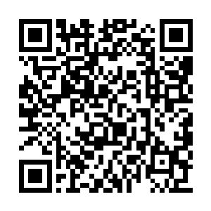 这推断还是子厚你仔细梳理研究后得出的结论啊二维码生成