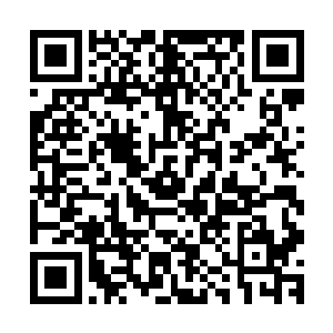 这支原本绝不具备独立巡航作战一年以上能力的普通星海舰队二维码生成