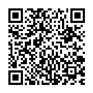 这支妖兽异形军团简直就像是化为了一柄无坚不摧的神兵一样二维码生成