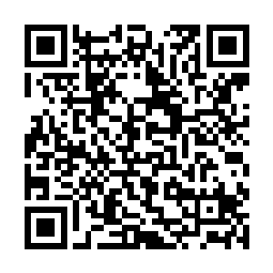 这支沉默的强袭舰队将自己的反射波纹收缩到了最小二维码生成