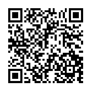 这支谱系下的堪塔斯最终站到了堪塔斯种族的巅峰二维码生成