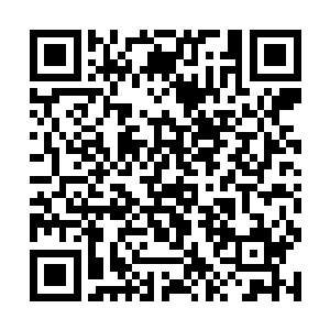 这支部队本来是用来对付宙斯及其麾下的精锐强者啊二维码生成