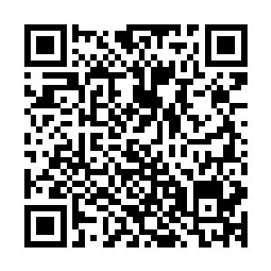 这支集全国之财力打造的精锐新军其本质还是一支反动旧军队二维码生成