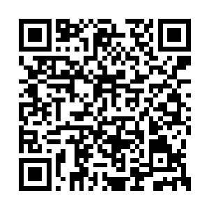 这支骑兵队伍的统领脊背上都是冒出了一股寒意二维码生成