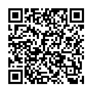 这散发的气息太过惊人要超过之前所散发的单独气息太多二维码生成