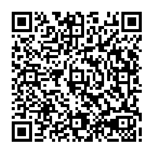 这散发着惊人高温的赤金色烈焰对于提丰周围的那些妖魔后裔似乎没有造成半点影响二维码生成