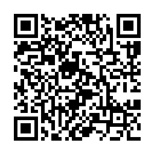 这数万年的时间杨戬几乎都是在这种状态之下渡过的二维码生成