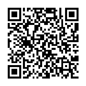 这数十枚阵旗竟被此黑衣老者的魔元大掌捏成了光粉二维码生成