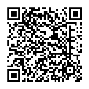 这数十道身影各个身体周围萦绕的邪气比起其他邪族不知浓郁了多少倍二维码生成
