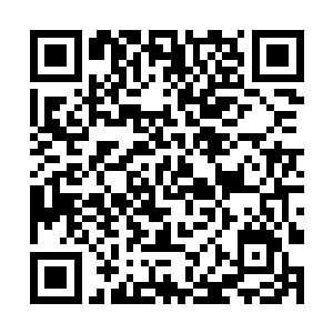 这数百条连接内丹的管道就被秦方切割了超过一半了二维码生成