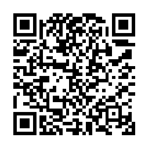 这数量足足相当于珞珈山还有西方教一些重要药山上百年的二维码生成