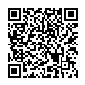 这整个京城除了皇帝皇后和太后也没有人能随意说要见她了二维码生成