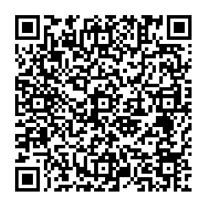 这整个迷宫存在的目的原来就是这扇门……一个可以不断变化出口的传送法阵……简直太神奇了二维码生成