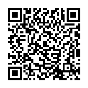 这整片黑暗沼泽也仿佛是受到了某种力量的影响一般二维码生成