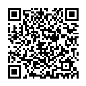 这方圆上百公里的血色沙漠也仿佛是忽然狂暴起来一样二维码生成