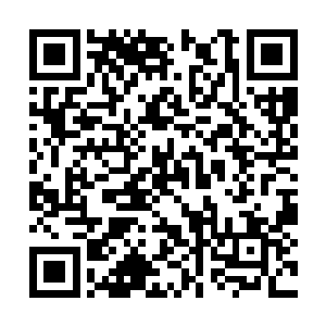 这无一不说明这个空间的主人绝对不是普通的人物二维码生成