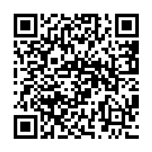 这无数的剑气就仿佛是形成了一个巨大的绞肉机似得二维码生成