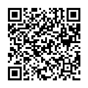 这无极炼丹术乃是天武皇朝神纹大师余沧海的独门秘籍二维码生成