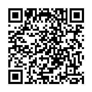 这无疑就是直接提供了一个他们与雨果近距离接触的机会二维码生成