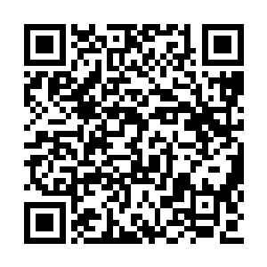 这无疑是让身形巨大的骷髅僵尸王显得非常愤怒二维码生成