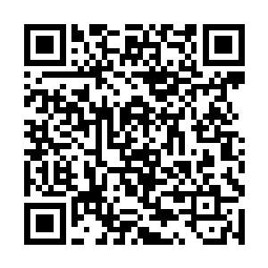 这无疑都是许紫烟带领他们来到古荒山脉之后得到的二维码生成