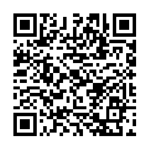 这既是我们俩以后建立良好的共事关系我给你的建议二维码生成