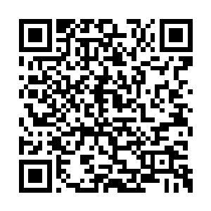 这早就让这几名心高气傲的圣皇强者心生不满了二维码生成