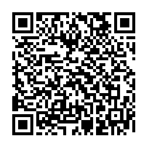 这时 他看到电梯旁边里头一个装饰用的小花盆上 插着几张精美的卡片二维码生成