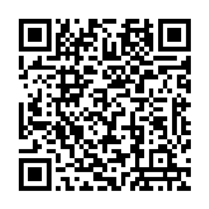 这时也无法窥探到吴岩究竟在以什么样的方式领悟天星阵道二维码生成