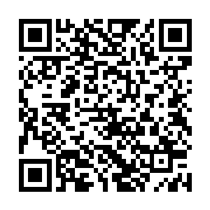 这时他想起来自己从东方家主身上抢来了炸弹的遥控器二维码生成