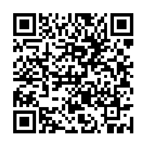 这时候一直监控事态进展的王财就出手掐死了柳絮二维码生成