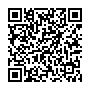 这时候九叔看到林一峰身后还跟着一个抱着包袱的女孩子二维码生成