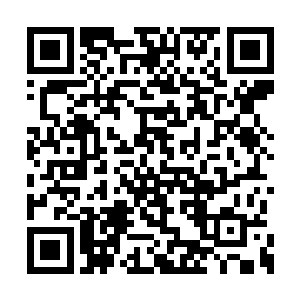 这时候也是忍不住仔细的打量着秦方这个对手的二维码生成