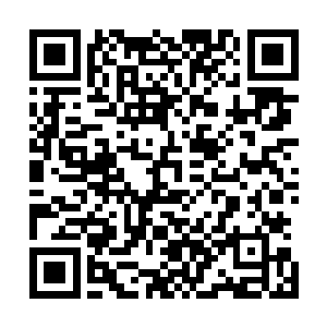 这时候云东和周围城镇的那些害虫依旧不断的朝着这里奔来二维码生成