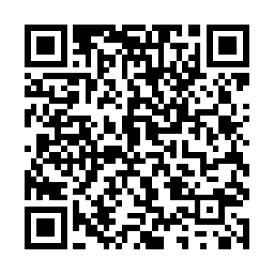 这时候亮了亮她口中的那一对并不是很明显的小虎牙二维码生成